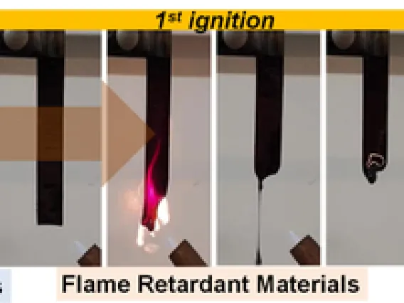 Flameredardentpoly