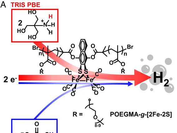 Metapolymers