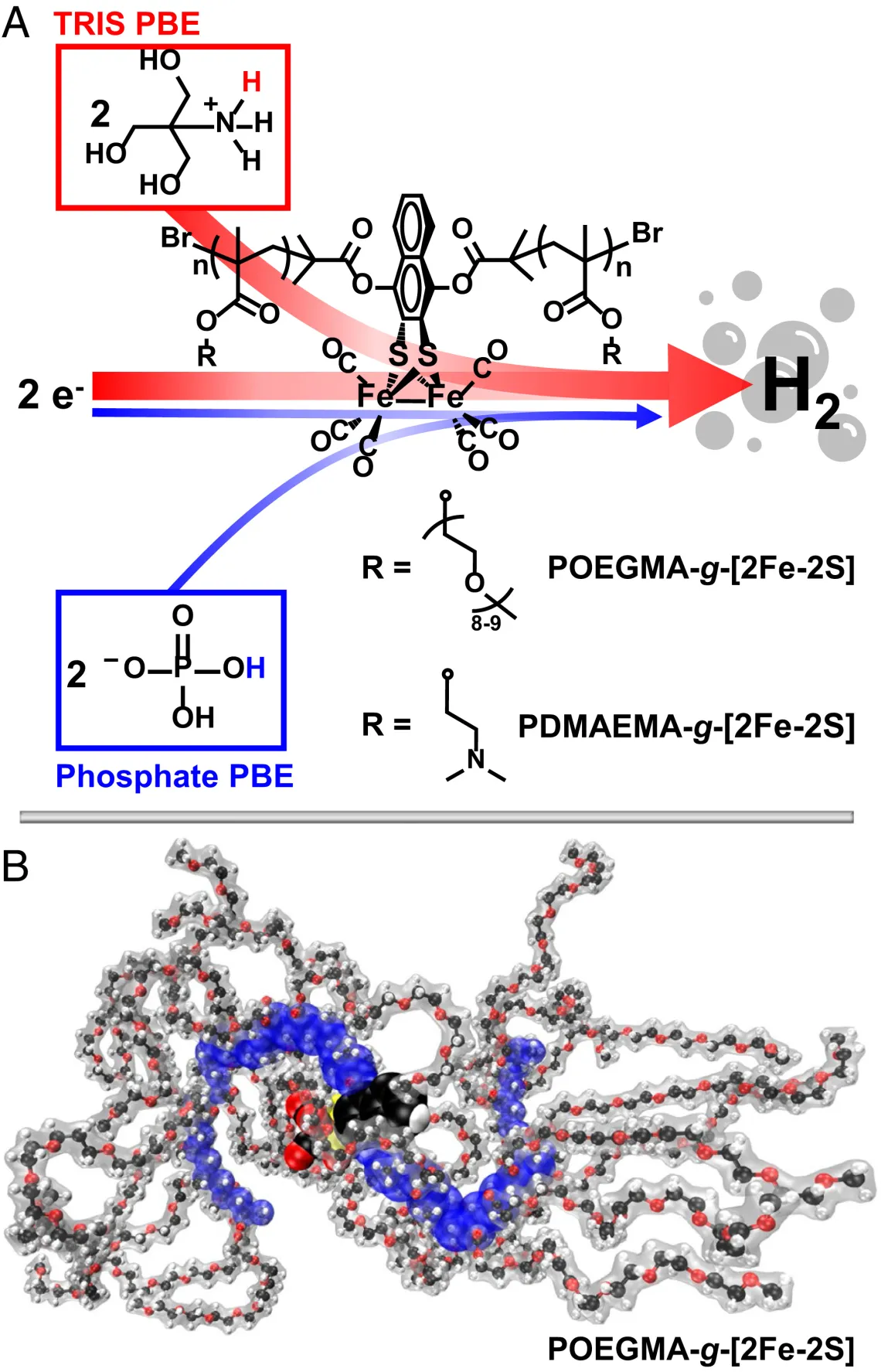 Metapolymers